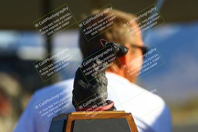 media/May-06-2023-PCA San Diego (Sat) [[abb7014659]]/Around the Pits/